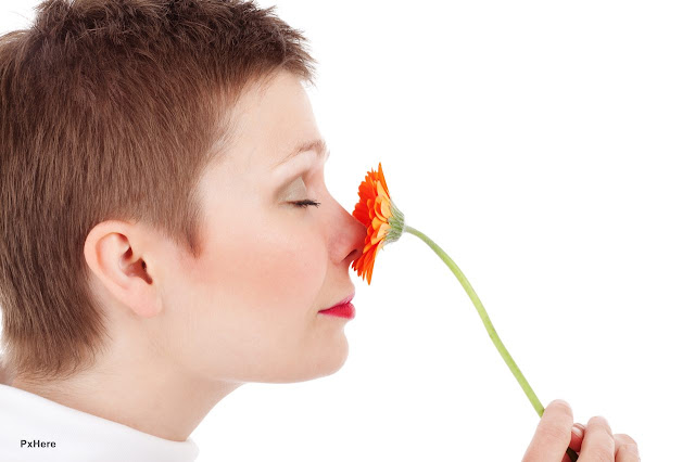 Rosto de mulher cheirando uma flor.
