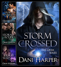 covers, paranormal romance, The Grim series, Dani Harper, fae