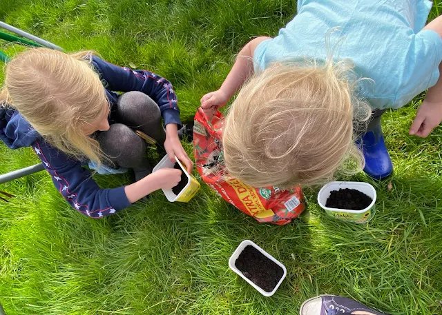 learning at home with children doesn't have to just be formal learning, we have planted some salad and vegetables seeds and will be watching them grow