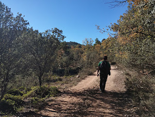 Barranco de Picazo