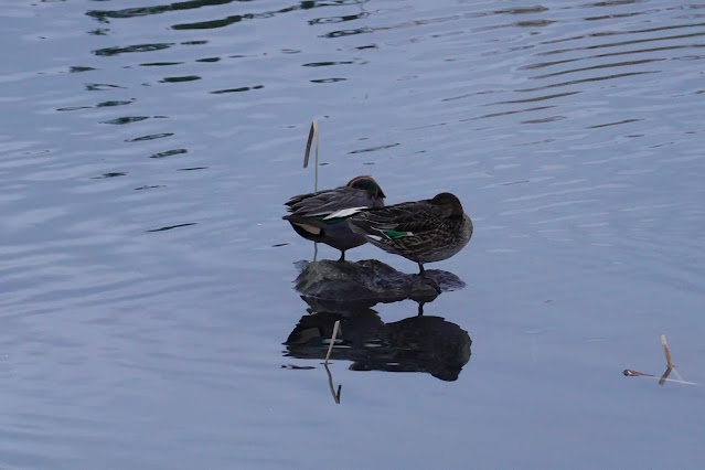 鳥取県米子市両三柳 弓ヶ浜公園