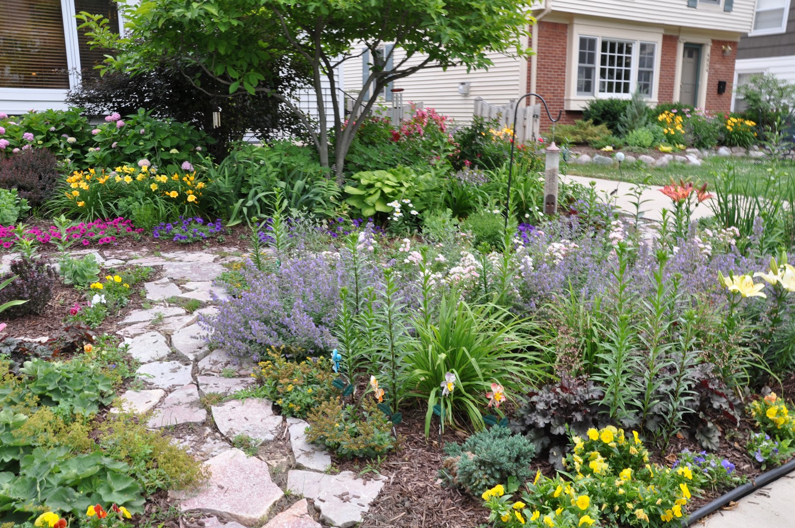 just another American Princess: Making a Grassless Front Yard