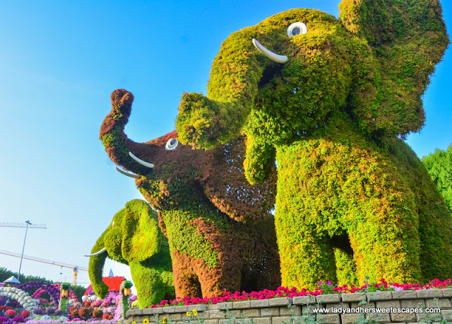 elephants in Dubai Miracle Garden