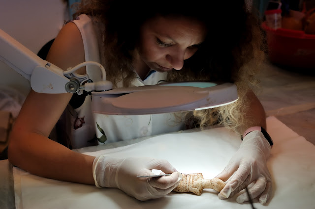 Η συντηρήτρια αρχαιοτήτων Μαρία Μουστάκα καθαρίζει το κυκλαδικό ειδώλιο της συλλογής Στάινχαρτ. [Credit:ΚΩΝΣΤΑΝΤΙΝΟΣ ΓΕΩΡΓΟΠΟΥΛΟΣ]