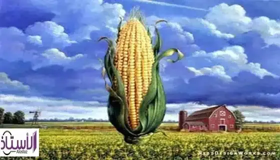 Inspirational-story-The-Farmer-and-the-Corn