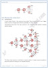 nuclear-structure-short-and-detailed-answer-questions-physics-10th