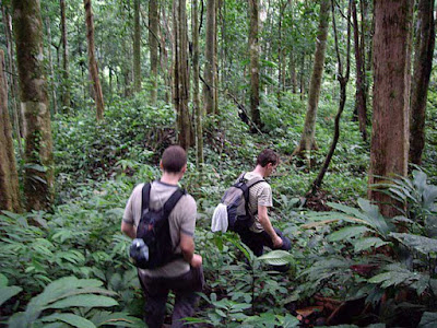 jungle trekking indonesia