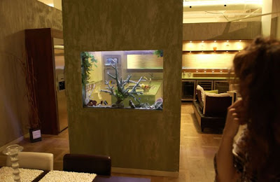 fish aquarium design