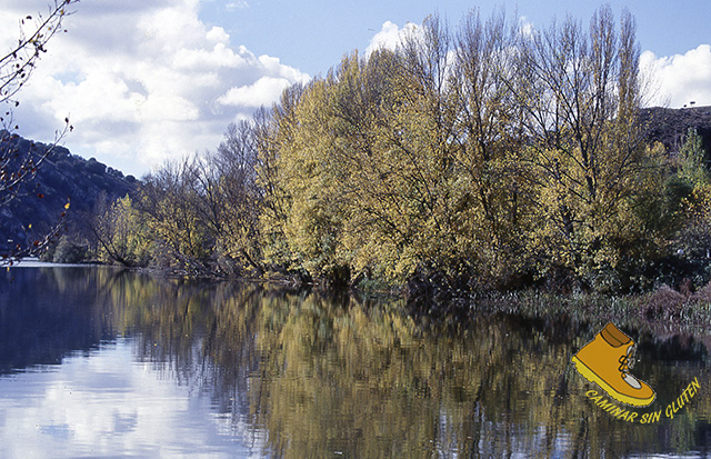 Diapositiva del otoño en el río Duero a su paso por Soria