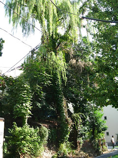 Kameido backstreets - lost Tokyo