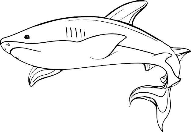 Underwater Shark Coloring Page