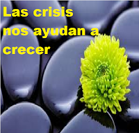 LAS CRISIS SON OPORTUNIDADES PARA CRECER