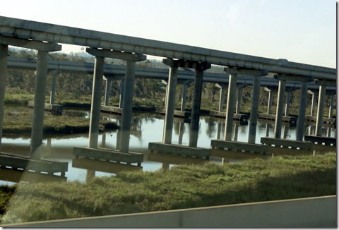 Freeway in the swamp