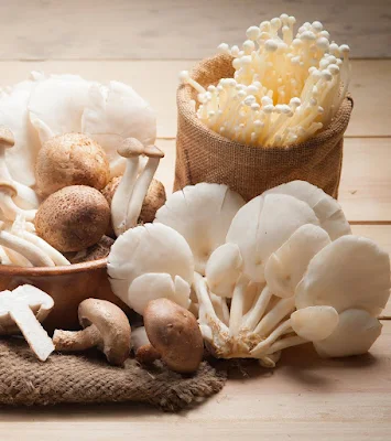 Why are mushroom not good for health?