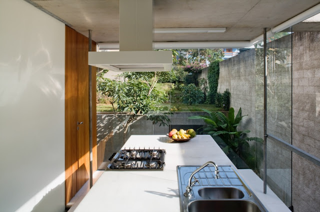 Picture of the kitchen and the backyard as seen through the glass walls