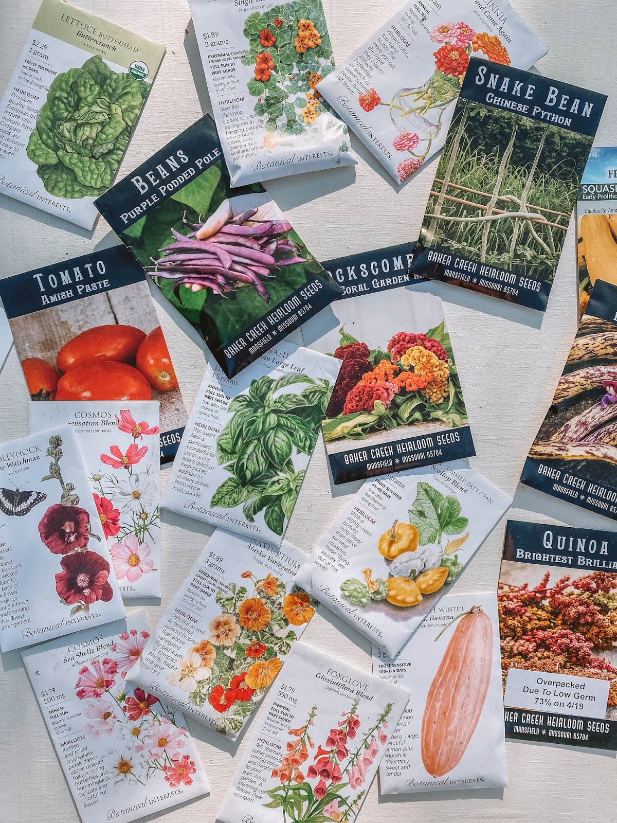 10 Heirloom Seed Companies & Why To Buy Them