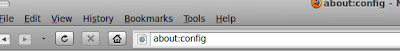 about:config.png