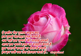 Rose day shayari in hindi