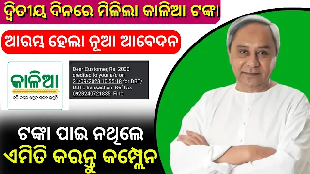 Kalia Yojana Correction Online