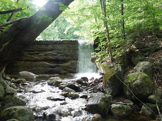 Boyce Brook in Lincoln NH abandoned reservoir