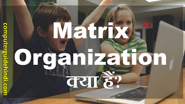 Matrix Organization क्या है?