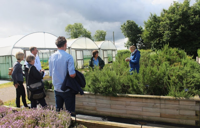 Jekka McVicar takes us through the many herbs that make up the Herbetum