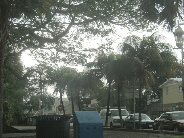 cute town,florida keys,teresita blanco