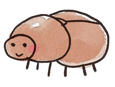 カブトムシのメスのイラスト（虫）