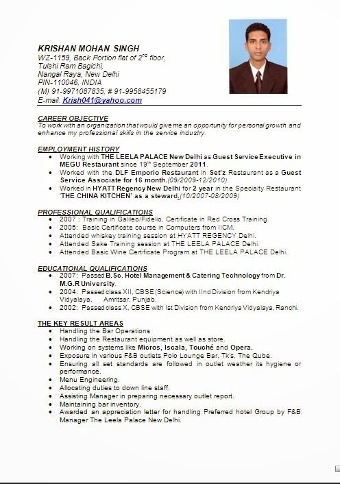 Free+Resume+Templates+(135)