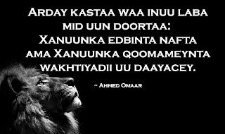 Ahmed Omaar Motivational quotes, Somali quotes