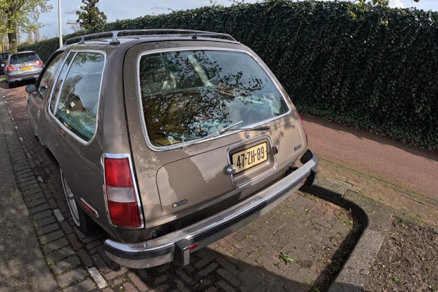 Pacer, foto Jacques van den Bergh