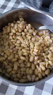 Flageolets verts ;Flageolets verts