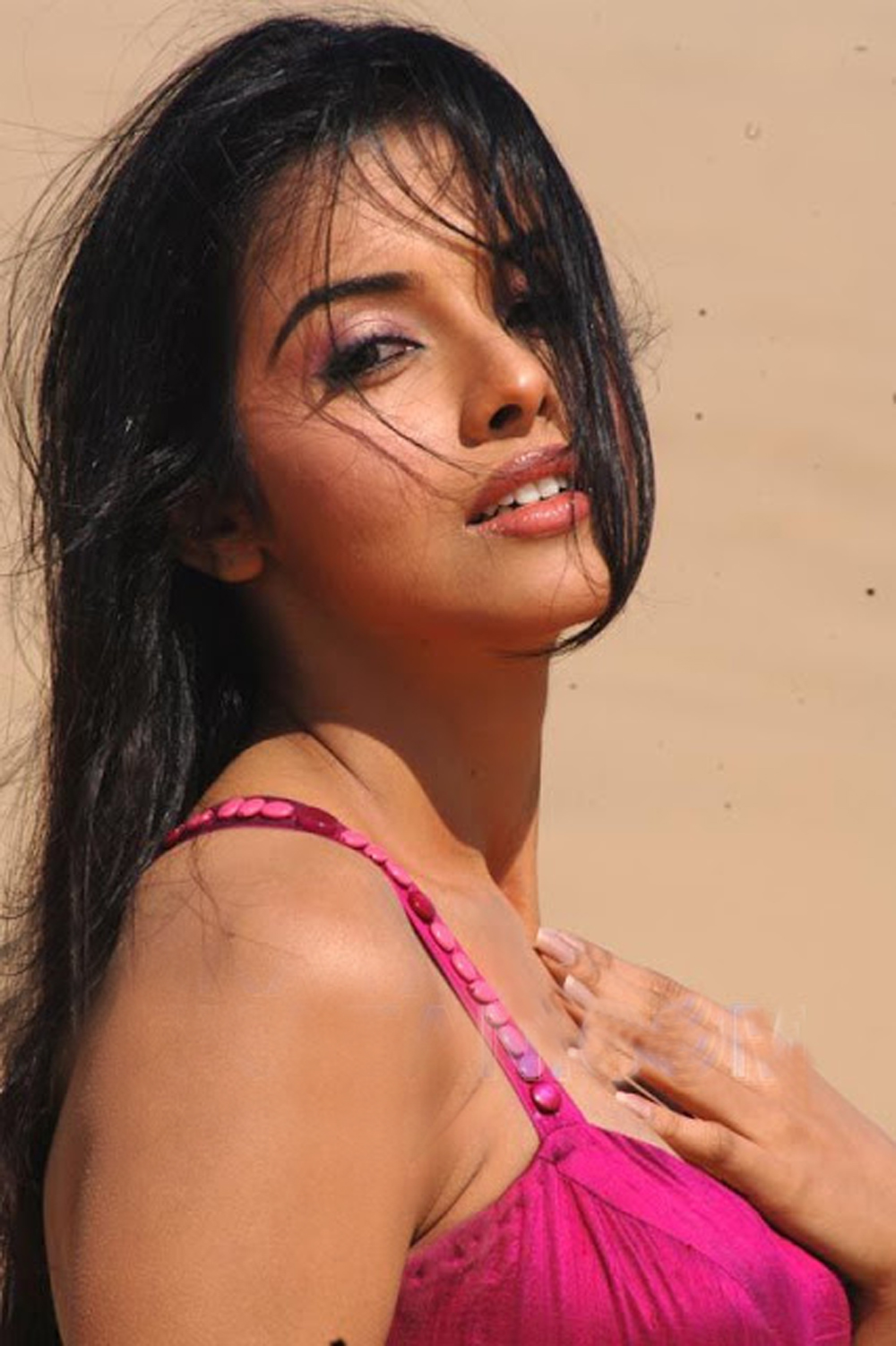 Asin Hot Bollywood Actress, Asin Tamil Hot Actress Photos ...