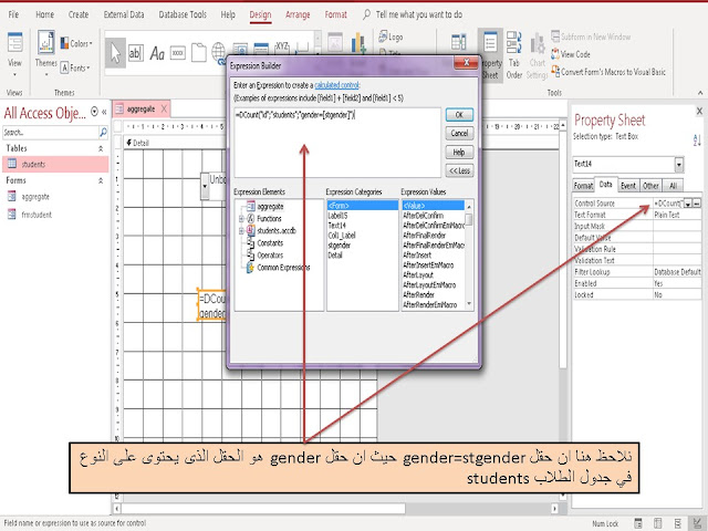 شرح دالة DCOUNT في برنامج  Ms access ميكروسوفت اكسس