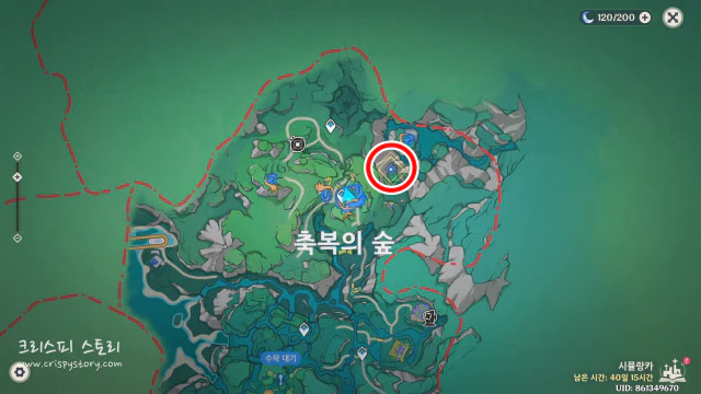 숲과공주3