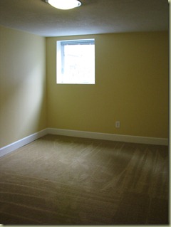 New House (19)