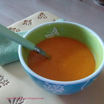 soupe de carottes au gingembre fris