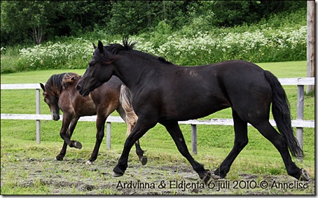 ridebanen-6juli_04