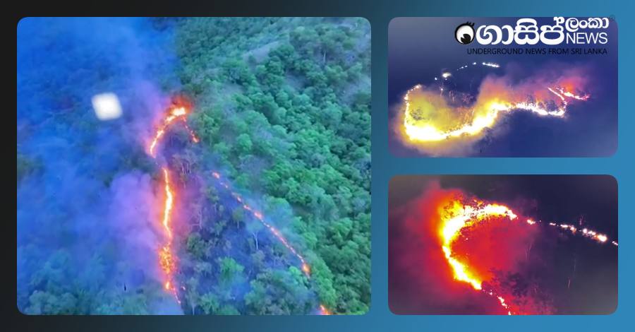 ella-fire ella-fire