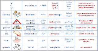 Medical Terminology