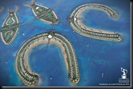 image (6)