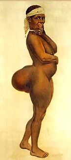 Saartjie Baartman ottentotta 1810 circa