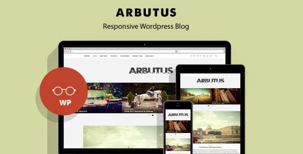 Best Responsive WordPress Blog Theme