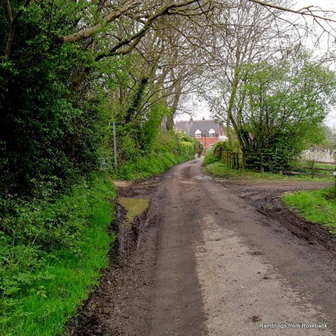 SDC10680