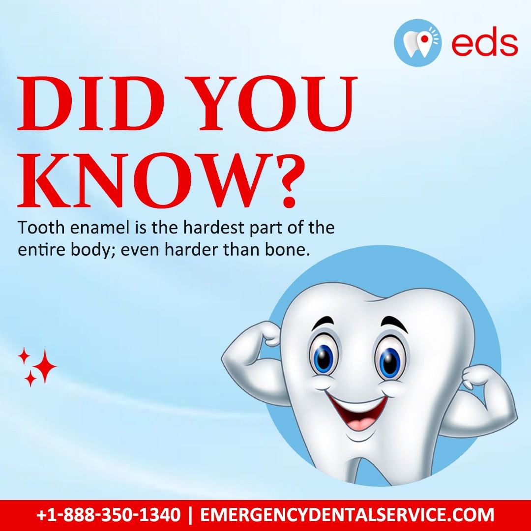 Emergency Dentist, Emergency Dental Care, Dental Emergency, 24 Hour Dentist, 24 Hour Dental Emergency, Emergency Dentist Open 24 Hours, 24 Hour Emergency Dentists, Urgent Dental Care , Emergency Dental Clinic, Dentist Emergency, 24 Hour Dentist, Emergency Dental Care