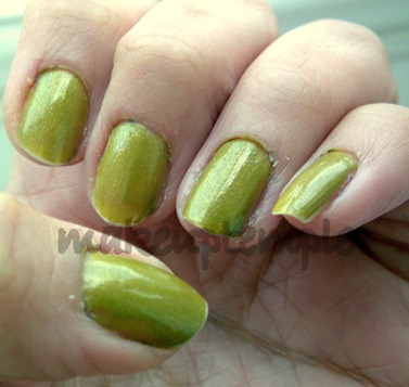 chinaglaze11