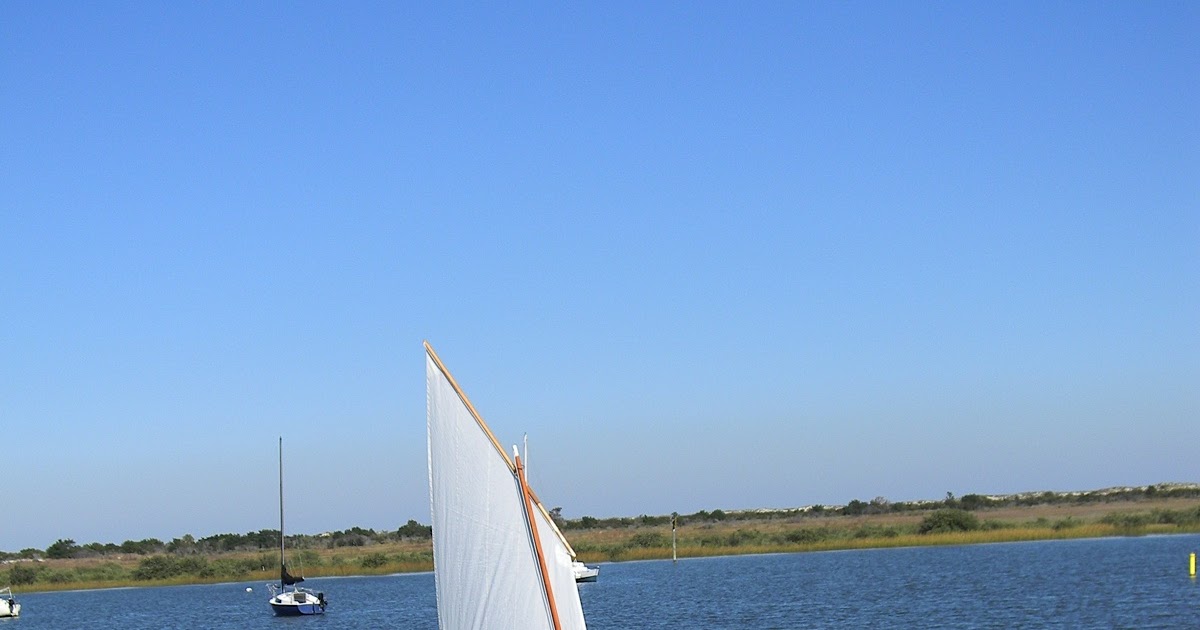 DoryMan: An Arctic Tern in Florida