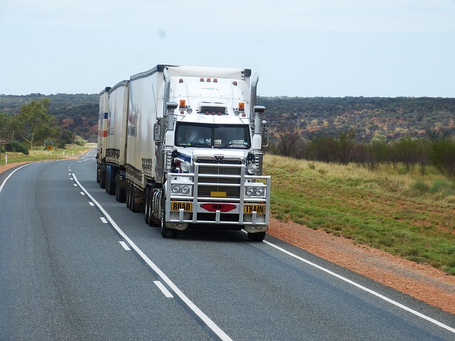 TomTom Trucker