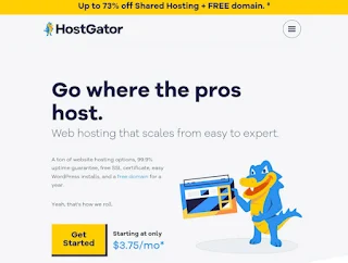 Learn about histgator hosting advantages and disadvantages