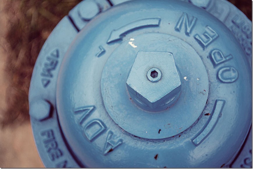 fire-hydrant-blue-cover